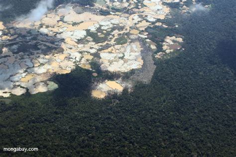 Rainforest: Mining In The Amazon Rainforest