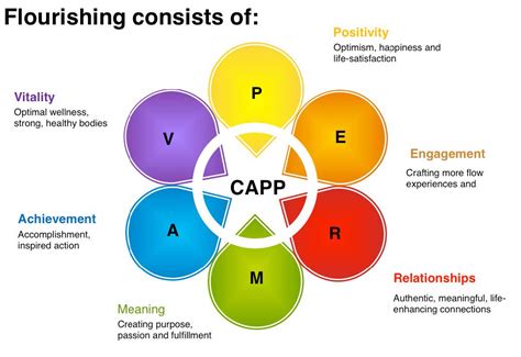 Positive Psychology | FEAP