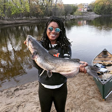 Nice channel catfish in the Mississippi River, MN : r/catfishing