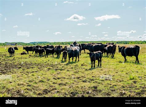 Rural Farm Ontario Canada Stock Photo - Alamy