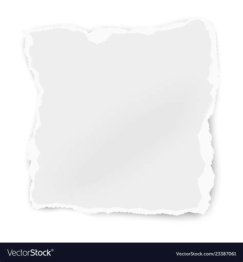 Ripped paper tear isolated on white background Vector Image