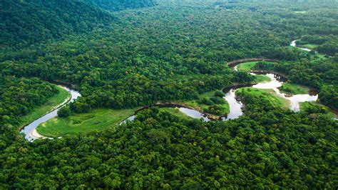 Visiting Brazil's Amazon rainforest | CN Traveller