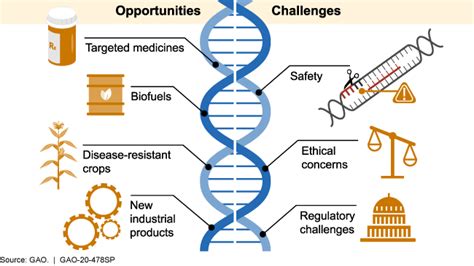 Crispr Gene Editing | Bruin Blog