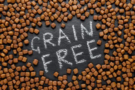 Update on Grain-Free Dog Food and Heart Disease | Oakland Veterinary Referral Services