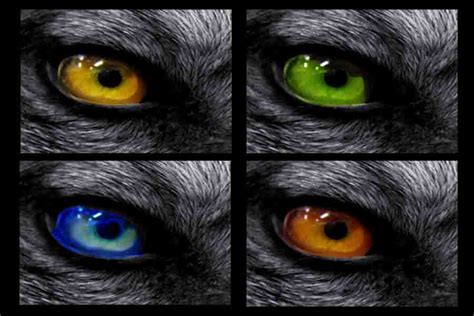 Omega Wolf Eyes