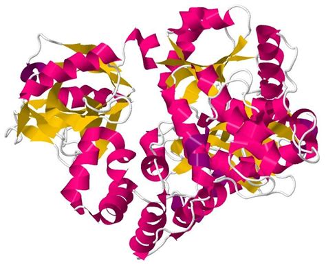 Ligase catalyzes two molecules linked into a molecule or to a molecule ...