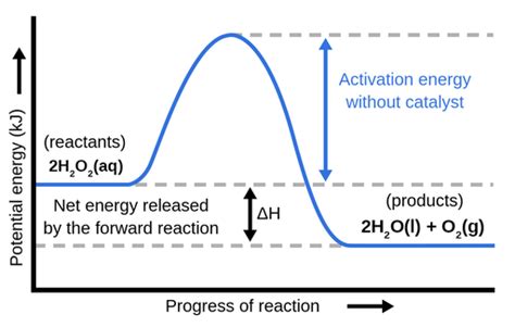 Potential Energy Diagram Activated Complex