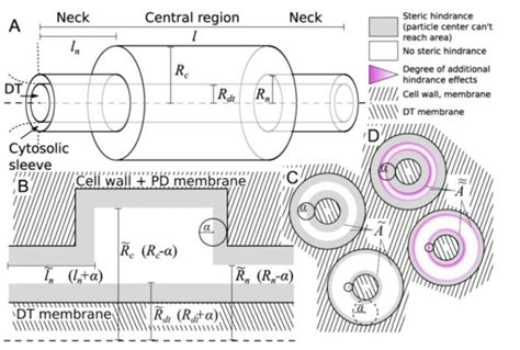 Plantae | Plant Science Research Weekly: December 6 | Plantae