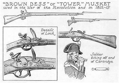 Brown Bess or Tower Musket