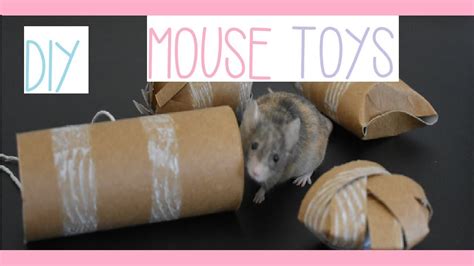 Mouse Toys For Mice | Wow Blog