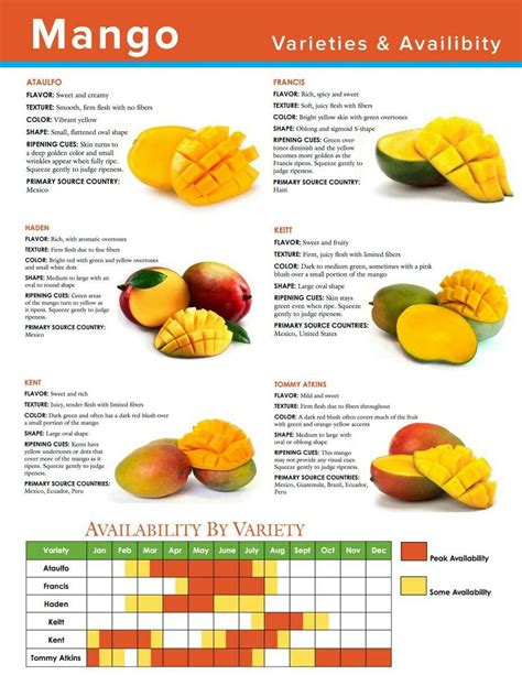 Best Way To Eat A Mango - Just For Guide