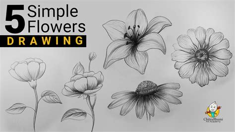 5 Simple Flowers Drawing | Free Hand Easy To Draw Using One Pencil 6B ...