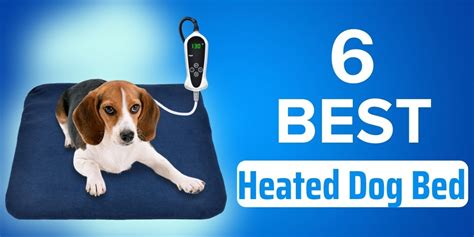 6 Best Heated Dog Bed Reviews 2023 - CanineWeekly.com