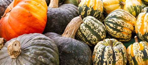 The Most Common Types of Winter Squash (And How They Taste)