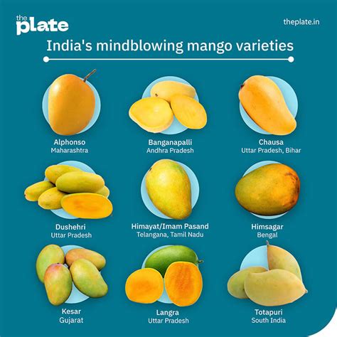 India No.1: Mango country | The Plate