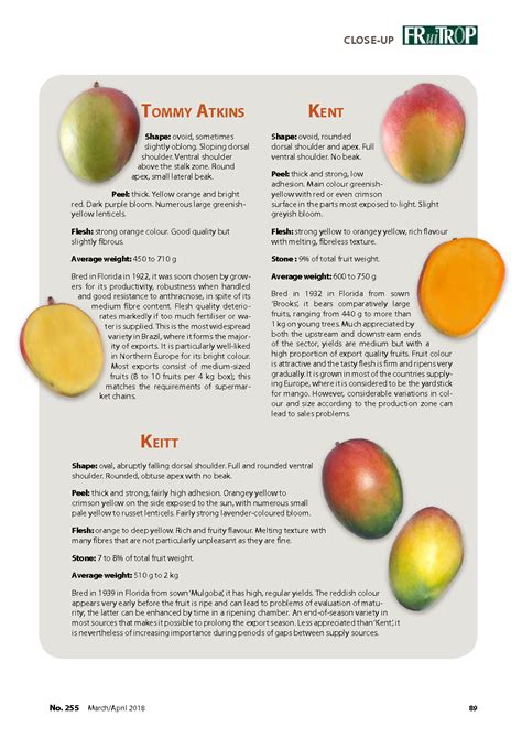 The main mango varieties