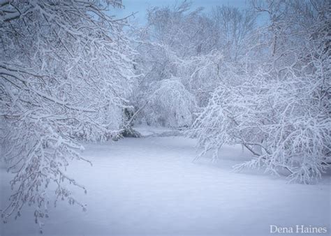 13 Snow Photography Tips: A Beginner's Guide