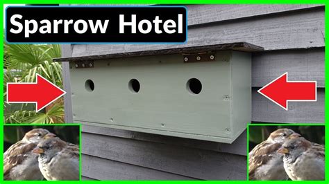 How to Make a Sparrow Colony Nesting Box / Bird House (Sparrow Terrace) - YouTube Bird Nesting ...