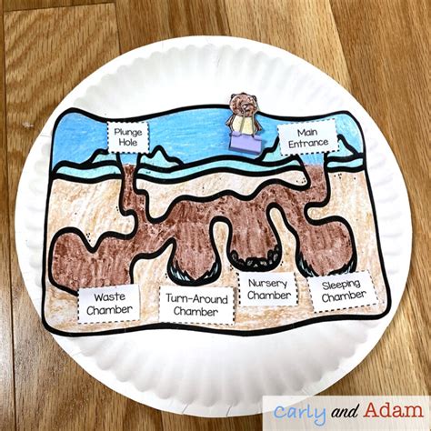 Groundhog Burrow READ ALOUD STEM Activity — Carly and Adam