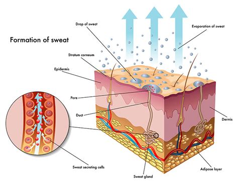 Deep Radiofrequency For Armpit Sweat & Odor Reduction In SG