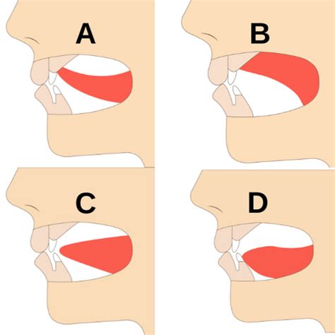 Mewing 101 aka Correct Tongue Posture Updated – Koko Face Yoga