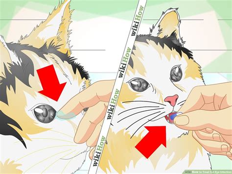 cat scratched eye symptoms - Johna Boyles