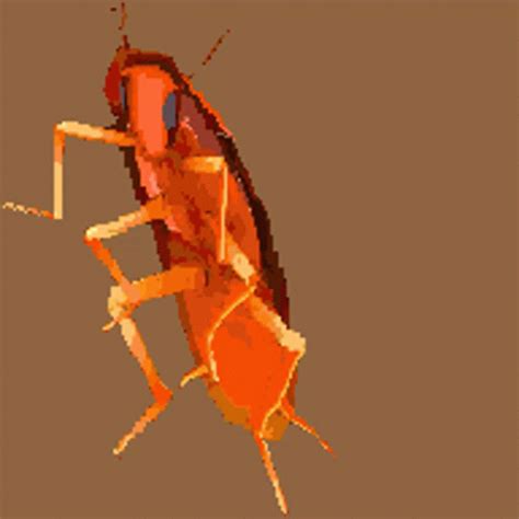 Roach Dancing GIF - Roach Dancing Cockroach - Discover & Share GIFs