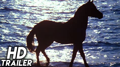 Black Stallion Horse Movie