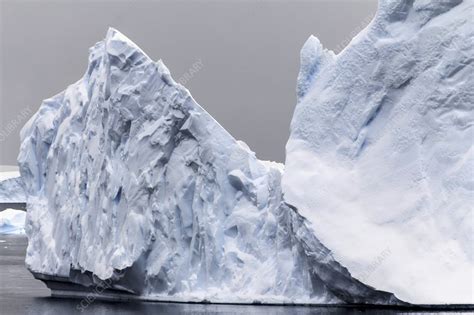 Icebergs, Antarctica - Stock Image - F008/3648 - Science Photo Library