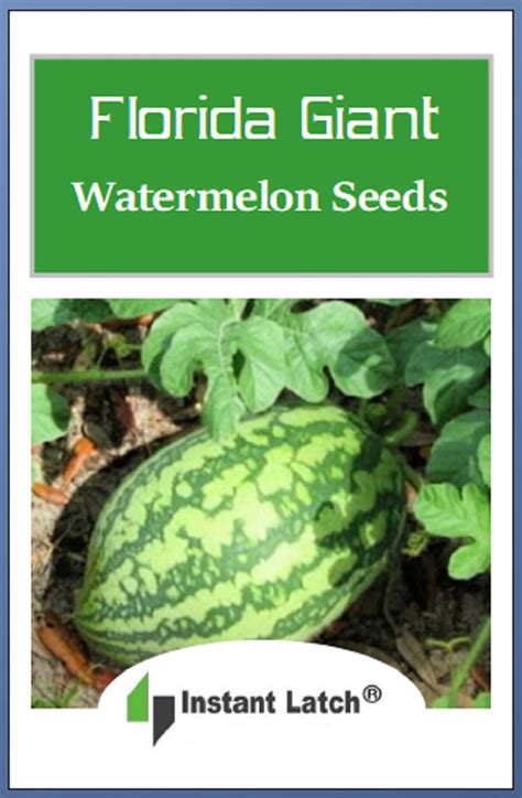 Florida Giant Watermelon Seeds | NON-GMO | Heirloom | Fresh Garden See – Instant Latch