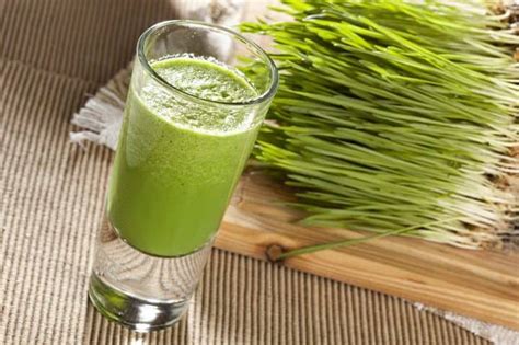 Wheatgrass Smoothies Recipes – 7 Yummy and Healthy Shakes