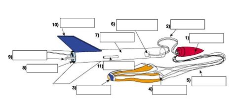 The Space Race,Parts of Model Rocket, Newtons 3rd Law Diagram | Quizlet