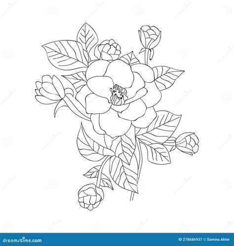 Rose Vector Art, Blossom Rose Illustration, Botanic Rose Collection Branch of Leaf Line Drawing ...