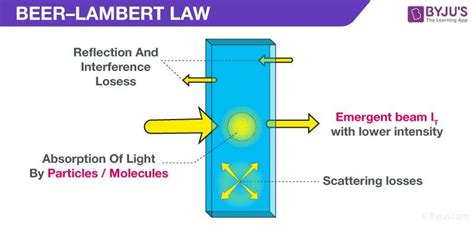 Beer-Lambert Law: Statement, Derivation, Formula, Limitations, FAQs