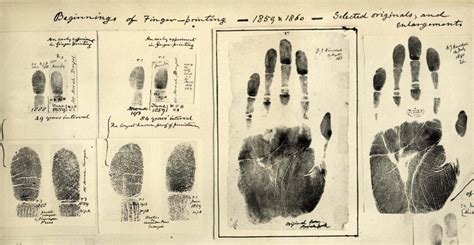 Fascinating Ancient History Of Fingerprints - Ancient Pages