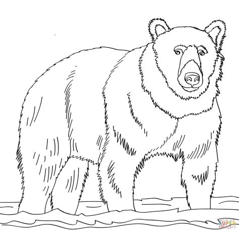 Printable Bear To Color - Printable Word Searches