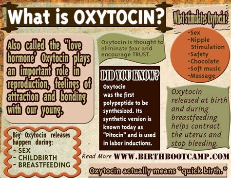 Oxytocin - Birth Boot Camp® Amazing Childbirth Education Classes