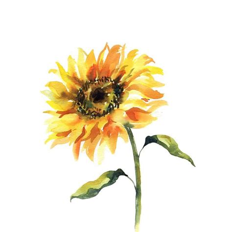 Sunflower Watercolor Tutorial | Sunflower watercolor painting ...