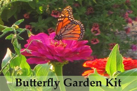 Butterfly Garden Kit