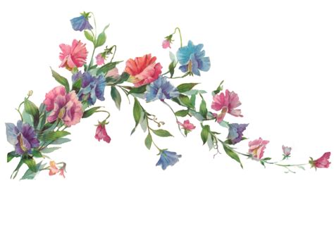 Flower Painting Clip art - Floral Transparent PNG png download - 900*655 - Free Transparent ...