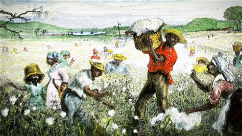 Cotton Plantations Slavery