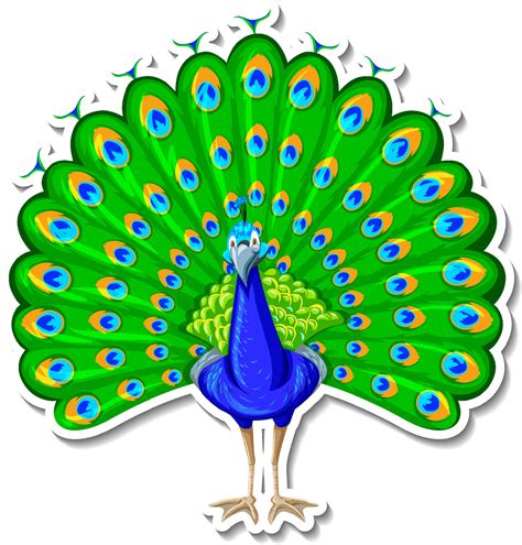 Peacock Wings Vector Art, Icons, and Graphics for Free Download