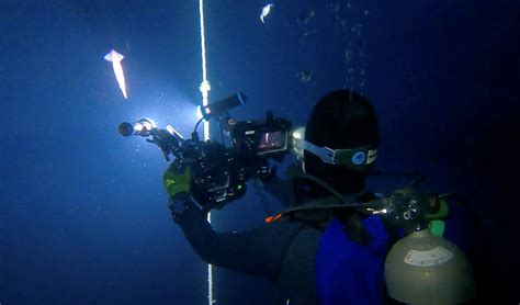 Capturing bioluminescence | Stories | Monterey Bay Aquarium