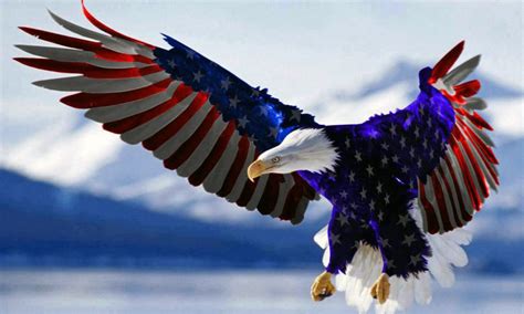 Bald Eagles American Flag - 1280x768 Wallpaper - teahub.io