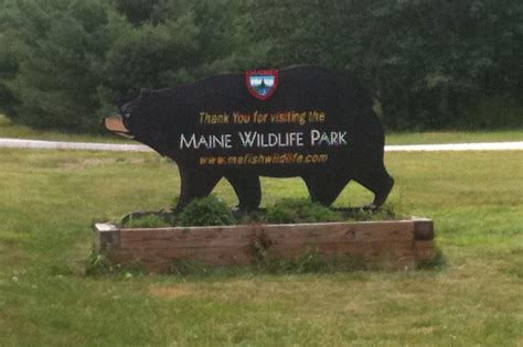 4 For Me: Maine Wildlife Park