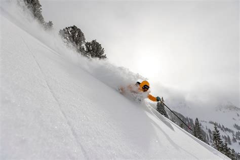 [PHOTOS] Alta Ski Area, UT, 1st Resort in North America to Pass 200" Snowfall This Season ...