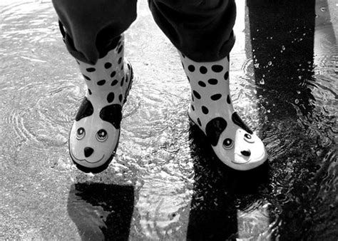 Dalmatian Boots | Aidan's dalmatian boots are very useful fo… | Flickr