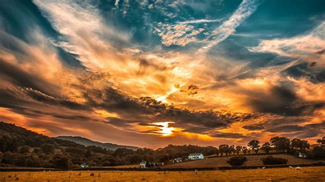 Sunset Sky Clouds Field Trees Horizon 4K HD Wallpapers | HD Wallpapers | ID #31262