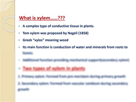 SOLUTION: VASCULAR TISSUES (XYLEM) IN PLANTS ITS COMPONENTS AND TRACHEIDS STRUCTURE &FUNCTIONS ...