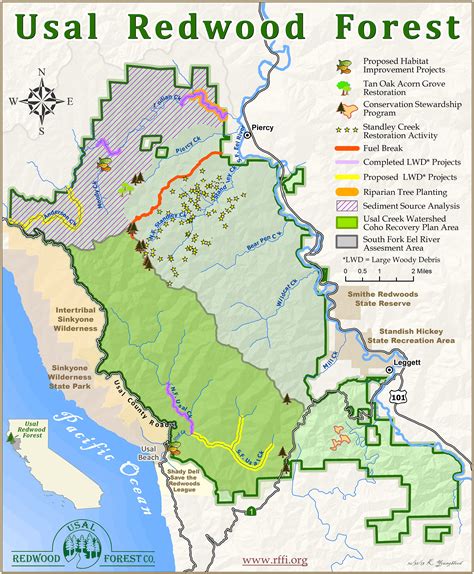 Giant Redwoods California Map – Topographic Map of Usa with States